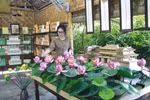 Artist utilising lotus to add charm to Vietnamese handicrafts