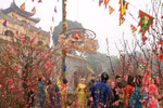 Traditional Tet rituals re-enacted at Thang Long relic site