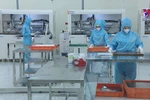 Newly registered FDI surges 54% in 10 months