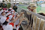 Unique zoo in Ninh Thuan