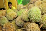 Vietnamese durian given push in Australia