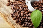 Vietnamese coffee reigns supreme on global coffee map 