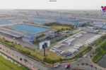 Foreign firms make beeline for Vietnam