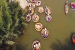 Hoi An active in promoting nipa palm forests