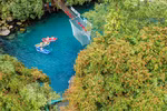 Vibrant saraca indica flowers in Phong Nha - Ke Bang National Park