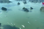 Seaplane tourism takes off with first flight to Co To Island
