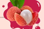 Vietnam’s first official lychee shipment arrives in UK