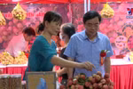 Hung Yen’s early-ripening hybrid lychees entering harvest season
