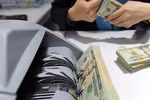 Vietnamese abroad send home over 17 billion USD in remittances in 2020