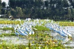 Photo contest on conservation, sustainable use of wetlands calls for entries