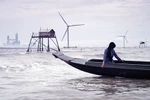 Vietnamese film about climate change available to rent online