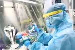 Vietnam’s COVID-19 testing capacity improved strongly: official