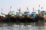 Kien Giang exerts efforts to lift EC “yellow card”