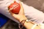 Defence Ministry launches blood donation drive 