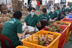 Fruit and vegetable exports hit over 3.2 billion in 2020