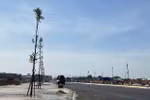 Land clearance compensation for Long Thanh airport project to finish in late June 