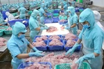 Report on impact of IUU yellow card on Vietnam’s seafood industry released