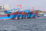 Vietnam works towards responsible, sustainable fishery sector