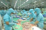 Rosy prospect for agro-forestry-fishery exports to exceed 47 billion USD in 2021