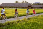 Agritourism to be added to new-style rural area building programme