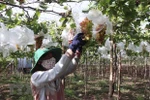 Over 1,600 more businesses enter agricultural sector in 2021