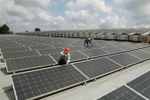 Made-in-Vietnam solar panels escape US anti-circumvention investigation
