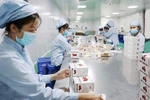 Hanoi’s COVID-19-free zones strive to bolster production