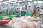 Kien Giang: goods exports up 11 percent 