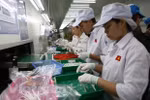 Russian paper praises Vietnam’s achievements in economic, foreign affairs