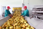 Room remains for Vietnamese exports to Russia
