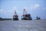 EC to review Vietnam's efforts against IUU at online meeting