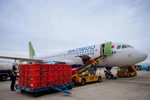 Bamboo Airways provides free transport of medical equipment to Hai Duong