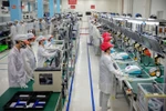 Vietnam-Germany Innovation Network bolsters cooperation in science-technology
