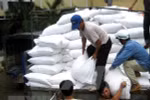 Son La receives rice support for between-crop period