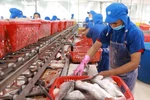 VASEP claims imported seafood regulations inadequate