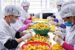 Enterprises vow to ensure sufficient goods during Tet: Ministry