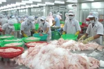 Kien Giang: goods exports up 11 percent 