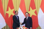 Vietnam, Indonesia Presidents hold talks