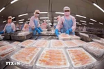 Processing shrimp for export (Photo: VNA)