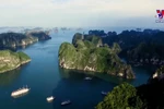 Quang Ninh developing tours for billionaires