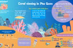 Explore the ocean: Coral diving adventures on Phu Quoc Island 