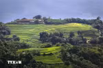 Beauty of Mien Doi terraced fields in Hoa Binh province