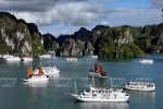 Weekly highlights: Group of 4,500 Indian visitors to travel to Vietnam