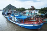 Thanh Hoa's offshore fishing vessels (Photo: VNA)