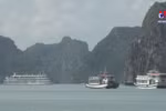 Environmental protection efforts augmented in Ha Long Bay