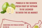 Pomelo - Seventh fresh fruit of Vietnam to be licensed to enter US market