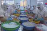 Seafood exports bustle again in year-end period