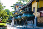 Young people enthusiastic in cultural tourism