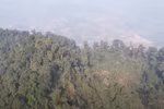Forest worshiping - Vow to protect forests by ethnic groups