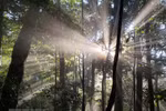 Biodiversity of Kon Ha Nung Biosphere Reserves discovered